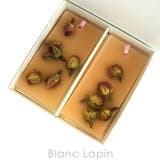 サンタ マリア ノヴェッラ | BLANC LAPIN | 詳細画像4