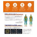 【LIFEMAX】ボタンダウンドライポロシャツ | Etre pret | 詳細画像6