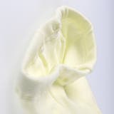 アニマルスパッツ＆ソックス | ブランシェス | 詳細画像4 