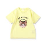 【Cat's ISSUE】ネコプリント半袖Tシャツ（こども） 子供服 キッズ | ブランシェス | 詳細画像11 