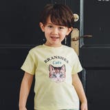 イエロー | 【Cat's ISSUE】ネコプリント半袖Tシャツ（こども） 子供服 キッズ | ブランシェス