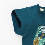 【体温で変わる】恐竜プリント半袖Tシャツ | ブランシェス | 詳細画像8 