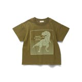 【プチプラ】恐竜プリント半袖Tシャツ | ブランシェス | 詳細画像13 