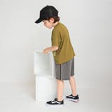 【プチプラ】恐竜プリント半袖Tシャツ | ブランシェス | 詳細画像15 