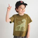 【プチプラ】恐竜プリント半袖Tシャツ | ブランシェス | 詳細画像17 
