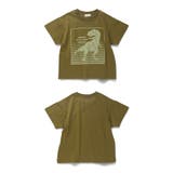 【プチプラ】恐竜プリント半袖Tシャツ | ブランシェス | 詳細画像19 