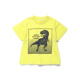 【プチプラ】恐竜プリント半袖Tシャツ | ブランシェス | 詳細画像2 