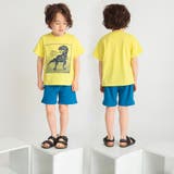 【プチプラ】恐竜プリント半袖Tシャツ | ブランシェス | 詳細画像32 