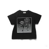 【プチプラ】恐竜プリント半袖Tシャツ | ブランシェス | 詳細画像49 