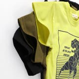 【プチプラ】恐竜プリント半袖Tシャツ | ブランシェス | 詳細画像9 