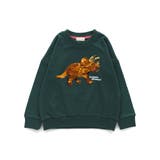 恐竜スパンコール裏毛トレーナー | ブランシェス | 詳細画像14 