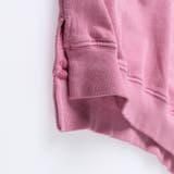 HARU COLOR ピグメント | ブランシェス | 詳細画像13 