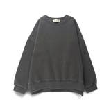 HARU COLOR ピグメント | ブランシェス | 詳細画像19 