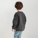 HARU COLOR ピグメント | ブランシェス | 詳細画像21 