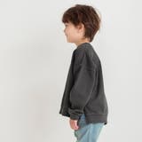 HARU COLOR ピグメント | ブランシェス | 詳細画像22 