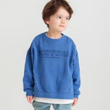 HARU COLOR ピグメント | ブランシェス | 詳細画像3 