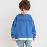 HARU COLOR ピグメント | ブランシェス | 詳細画像4 