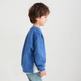 HARU COLOR ピグメント | ブランシェス | 詳細画像5 