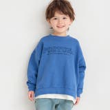 ブルー | HARU COLOR ピグメント | ブランシェス