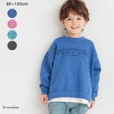 HARU COLOR ピグメント | ブランシェス | 詳細画像1 