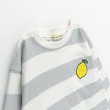 太 ボーダー長袖Tシャツ 綿100% | ブランシェス | 詳細画像11 