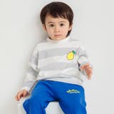 グレー | 太 ボーダー長袖Tシャツ 綿100% | ブランシェス