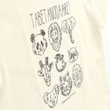 【ブランシェスmini】半袖Tシャツ 春 トップス | ブランシェス | 詳細画像4 