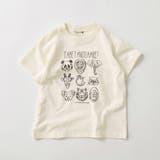 アイボリー | 【ブランシェスmini】半袖Tシャツ 春 トップス | ブランシェス