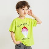 ライム | 【接触冷感 アイスT】アソート半袖Tシャツ 男女兼用 | ブランシェス