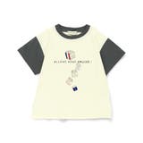 ミックス | 【プチプラ】イラストアソート半袖Tシャツ/アソート | ブランシェス