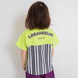 異素材切り替え半袖Tシャツ/チェック/ストライプ/バイカラー/男の子 | ブランシェス | 詳細画像23 