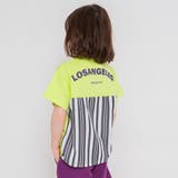 ライトグリーン | 異素材切り替え半袖Tシャツ/チェック/ストライプ/バイカラー/男の子 | ブランシェス