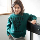 グリーン | アニマル アソート ニット | ブランシェス