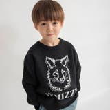 ブラック | アニマル アソート ニット | ブランシェス