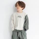 ライトベージュ | 【HOBOシャツ】トレーナー/150cm/キッズ/男の子/女の子/異素材切替 | ブランシェス