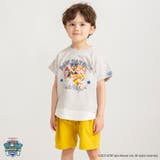 キャラクタープリント半袖Tシャツ パウパトロール | ブランシェス | 詳細画像3