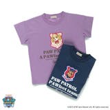 プリント半袖Tシャツ パウパト チェイス | ブランシェス | 詳細画像9