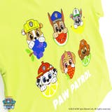 吸水速乾 プリント半袖Tシャツ パウパト | ブランシェス | 詳細画像3 