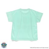 吸水速乾 プリント半袖Tシャツ パウパト | ブランシェス | 詳細画像4 