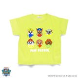 イエロー | 吸水速乾 プリント半袖Tシャツ パウパト | ブランシェス