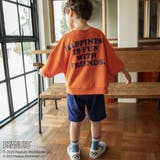 ×ブランシェス ハーフパンツ ショートパンツ | ブランシェス | 詳細画像16 