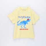 【ブランシェスmini】アソート半袖Tシャツ | ブランシェス | 詳細画像20 