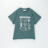 【ブランシェスmini】アソート半袖Tシャツ | ブランシェス | 詳細画像34 