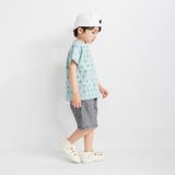 【ブランシェスmini】アソート半袖Tシャツ | ブランシェス | 詳細画像52 