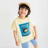 91:クリーム_犬 | 【プチプラ】アソート半袖Tシャツ/150cm/キッズ/男の子/女の子 | ブランシェス