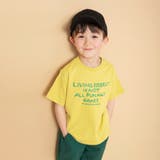 カラシ | 【WEB限定】ロゴグラフィック半袖Tシャツ | ブランシェス