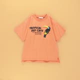 【WEB限定】カラバリアソート半袖Tシャツ | ブランシェス | 詳細画像25 