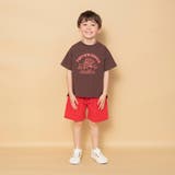 【WEB限定】カラバリ スラブ ハーフパンツ | ブランシェス | 詳細画像13 