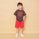 【WEB限定】カラバリ スラブ ハーフパンツ | ブランシェス | 詳細画像14 