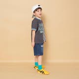 【WEB限定】クラッシュ デニム ハーフパンツ | ブランシェス | 詳細画像5 